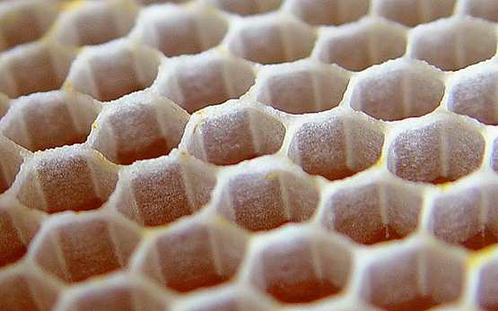 Cells made from new wax in comb