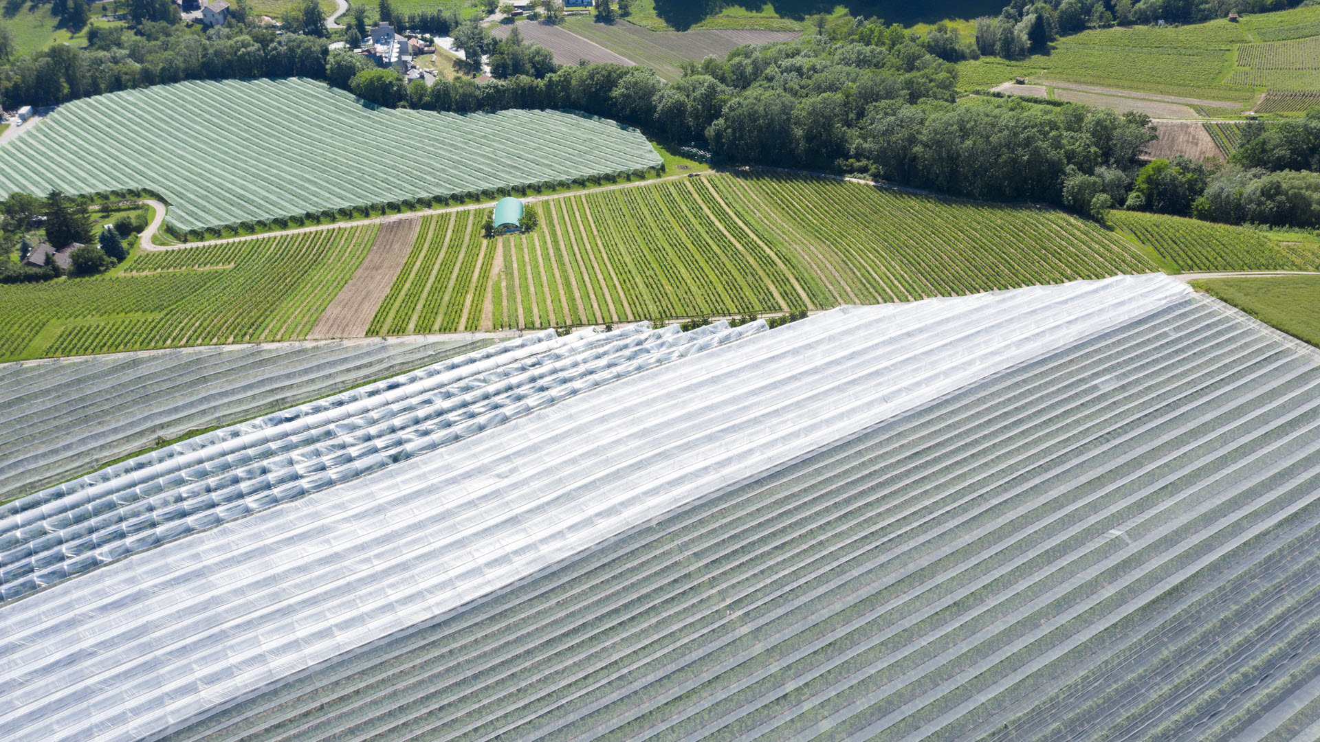 Obstbau, arboriculture, Vaud