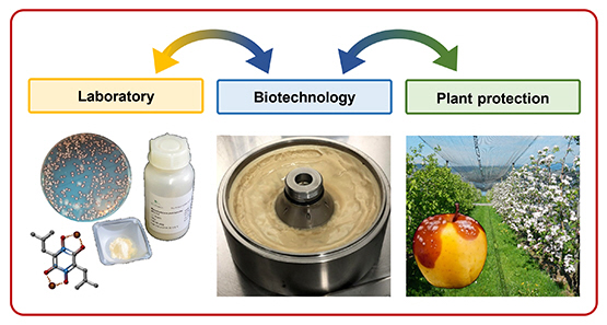 ProMet feedback loops: Laboratory - Biotechnology - Plant protection