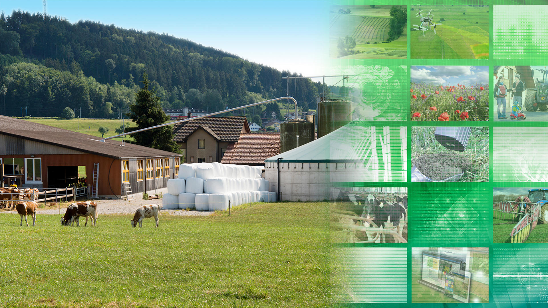 Hauptbild Indicate Bauernhof