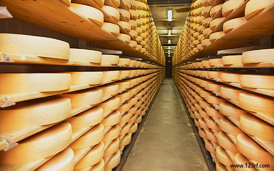 Käse Rohmilch