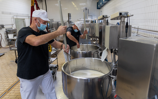 Production de fromage au lait cru