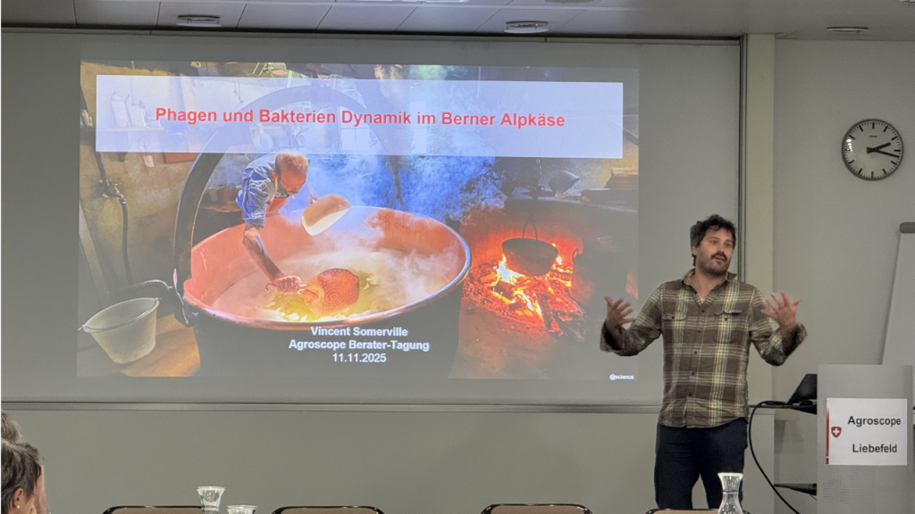 highlight_20251111_VSAB_ld