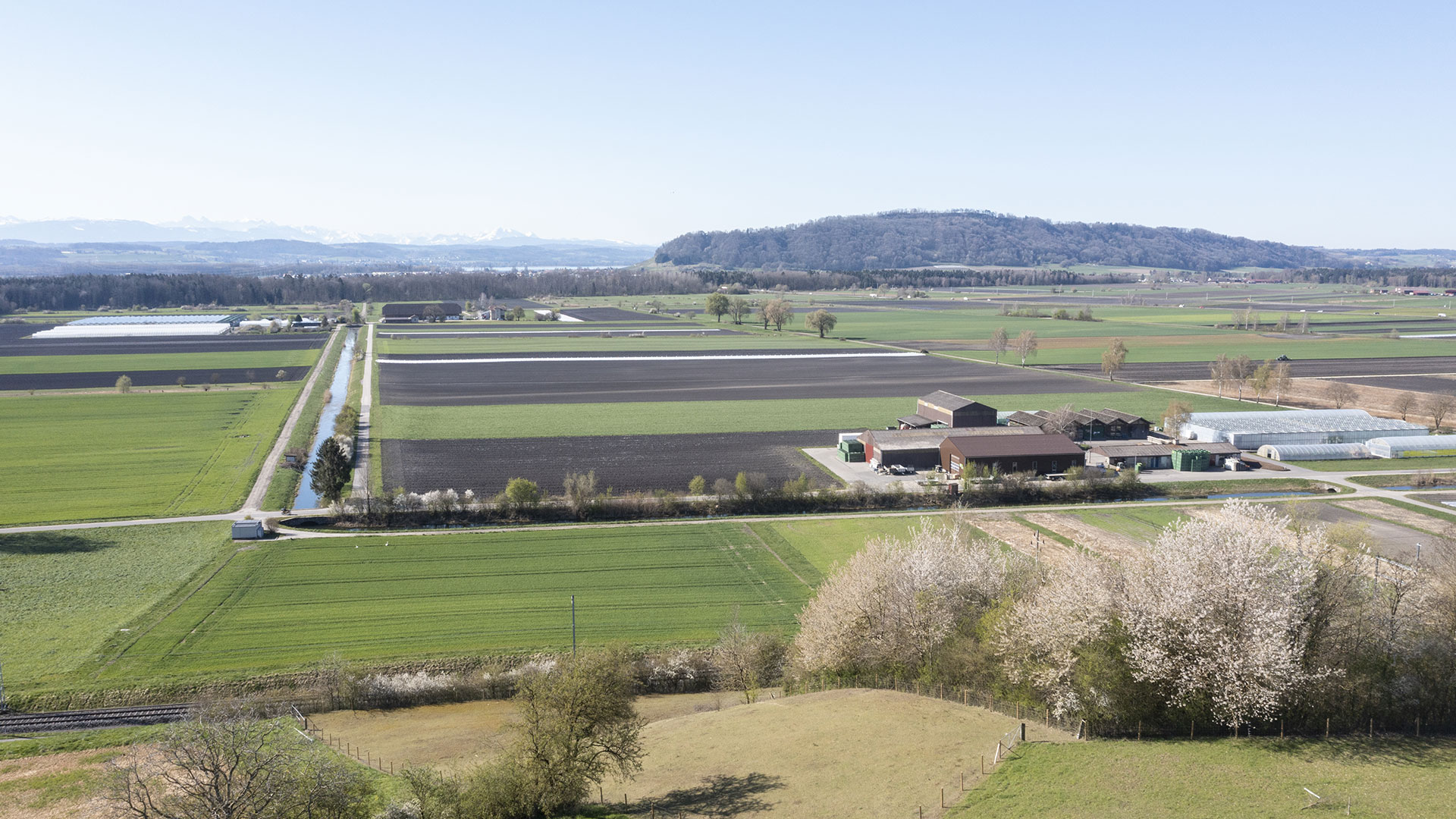 Versuchsstation Gemüsebau