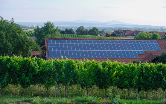 Energie und Nachhaltigkeit in Weinkellereien