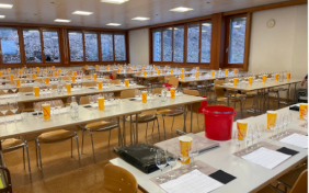 Informationsveranstaltung zu resistenten Rebsorten
