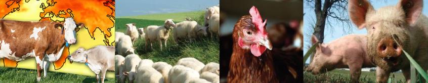 Journée Changement climatique et animaux de rente: des influences réciproques
