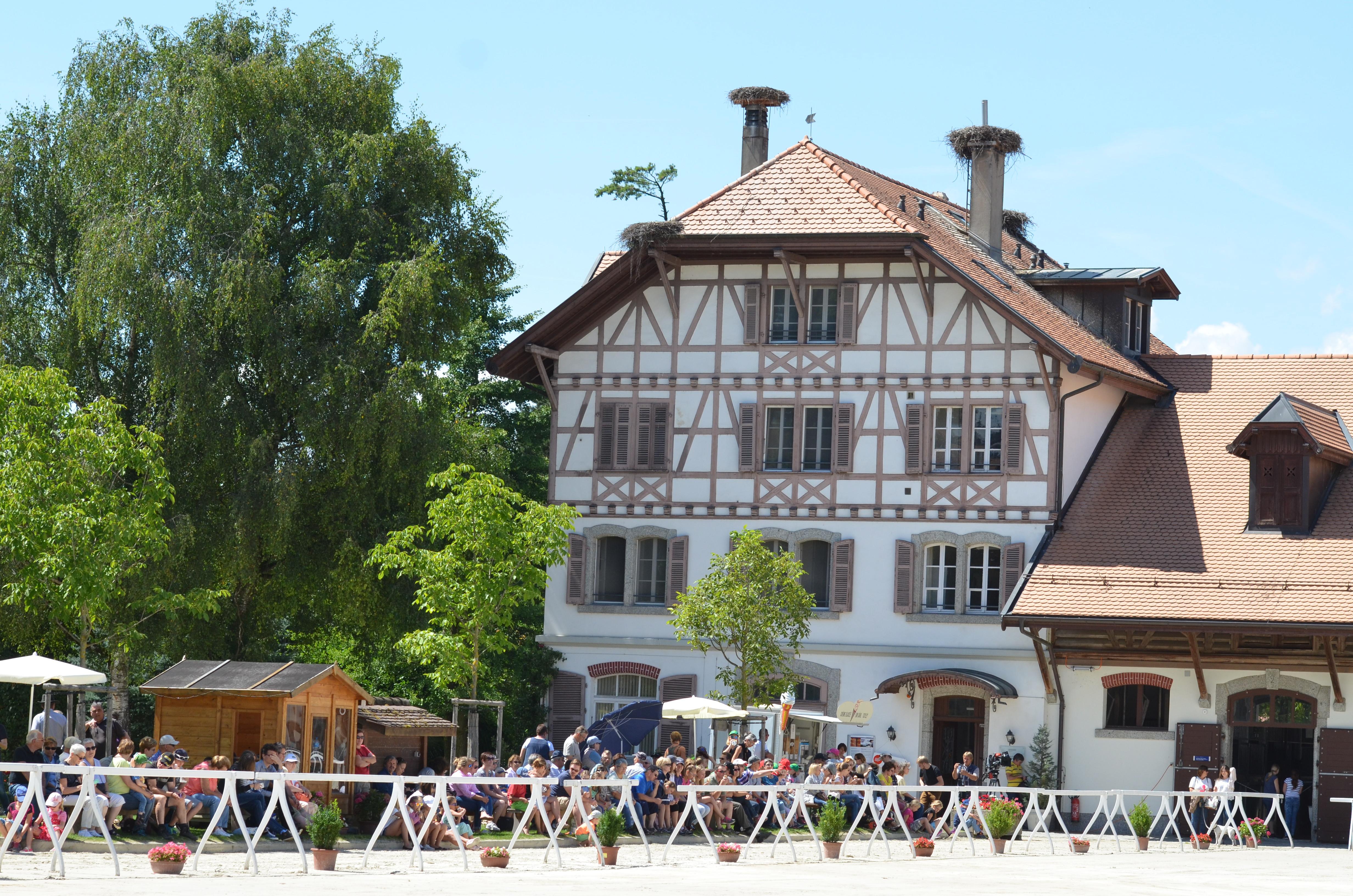 Jeudi au Haras 1