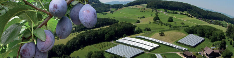 Breitenhof-Tagung Agroscope 2025