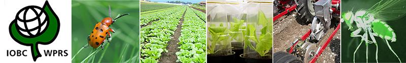 IOBC-WPRS Meeting Working Group „Integrated Protection of Field Vegetables“