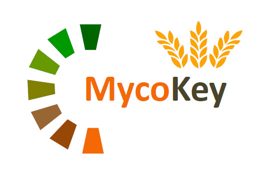 logo_mycokey.JPG