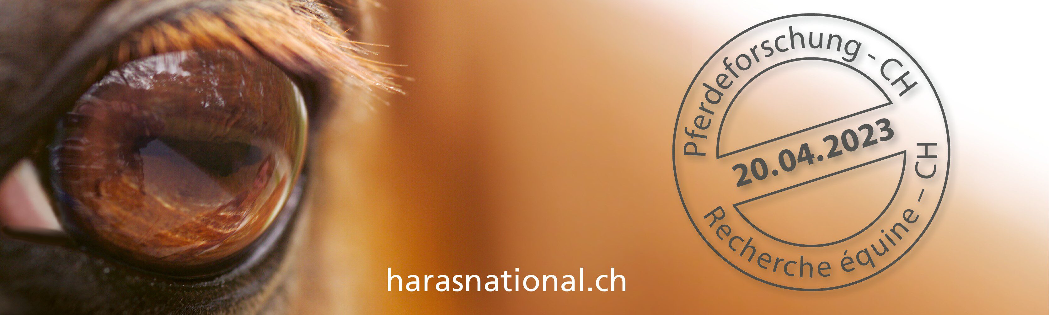 Journée de recherche équine suisse 2023