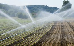 Utilisation de l'eau dans l'agriculture