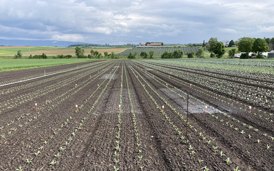 Praxis und Forschung arbeiten im Seeland zusammen