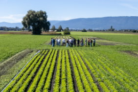 Highlight-VS-Gemuesebau-Ins