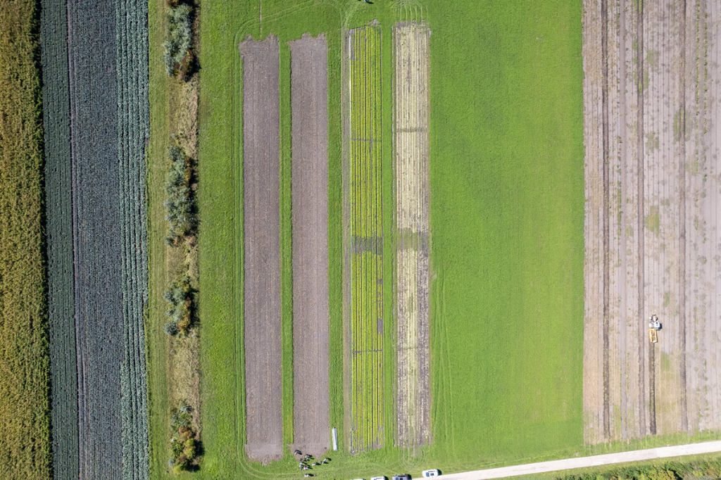 Versuchsbesichtigung Ins 12.09.2022 Bild 1