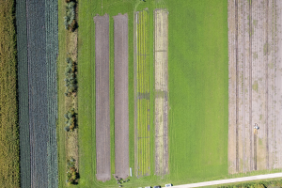 Versuchsbesichtigung Ins 12.09.2022 Bild 1