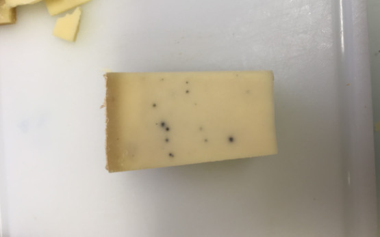 Schwarze Flecken im Käse verursacht durch Zitzenversiegler