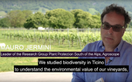Biodiversity of vineyards: Mauro Jermini