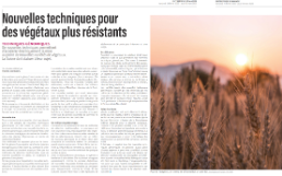 entreprise_romande_20250214_revue_presse