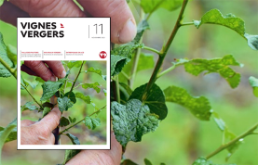 Revue suisse de viticulture arboriculture horticulture