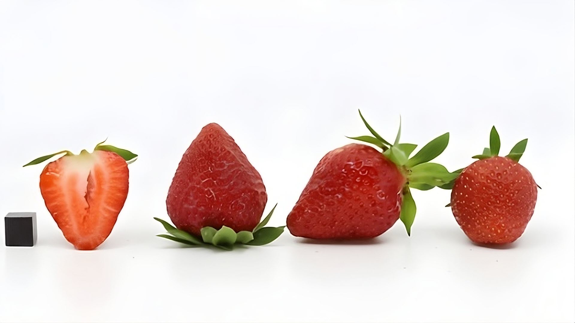 Erdbeeren, Fraise