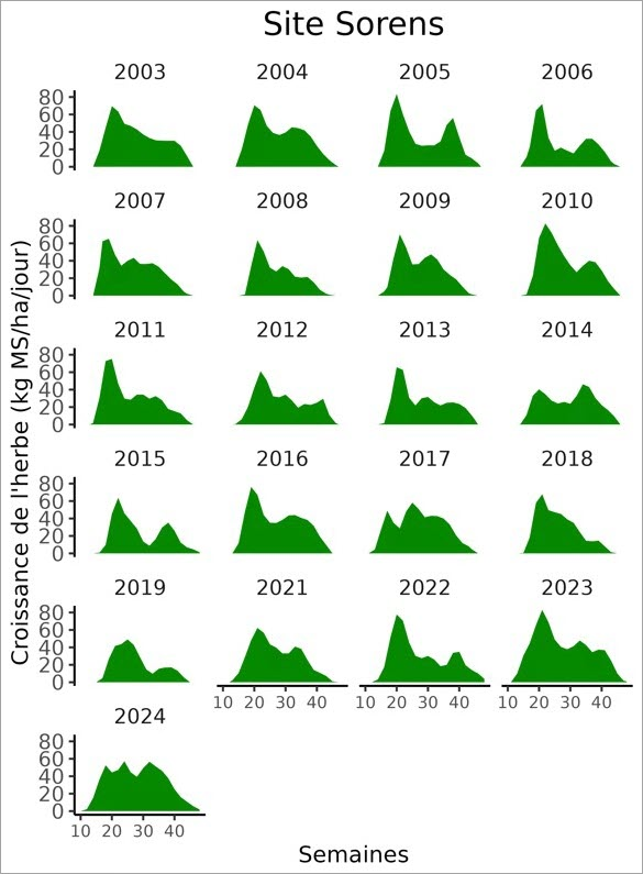 Statistik Sorens 2024