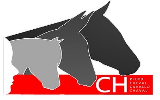 Logo - Etre un cheval en suisse