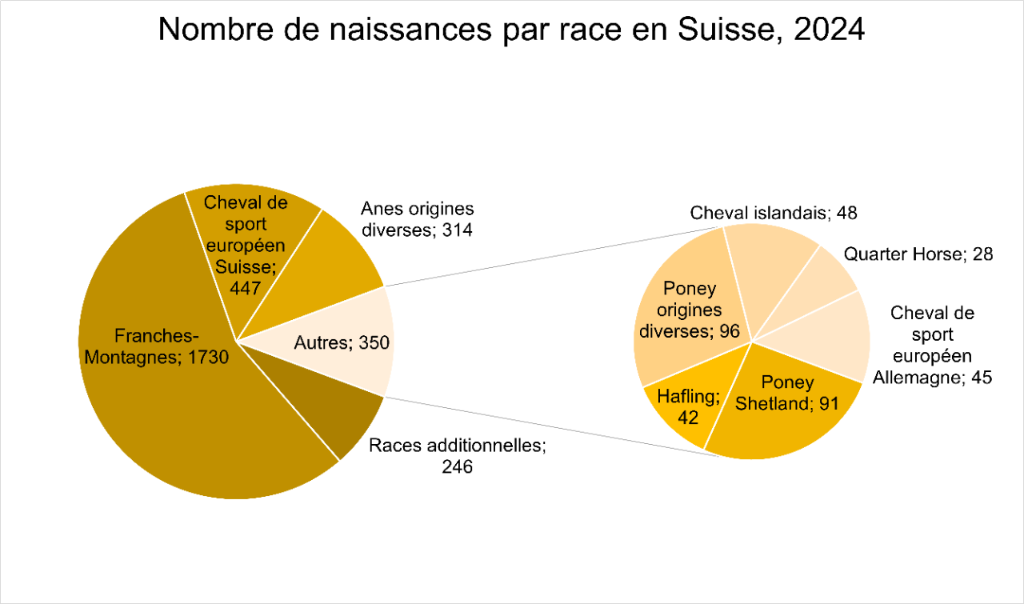 3_2_naissances_race
