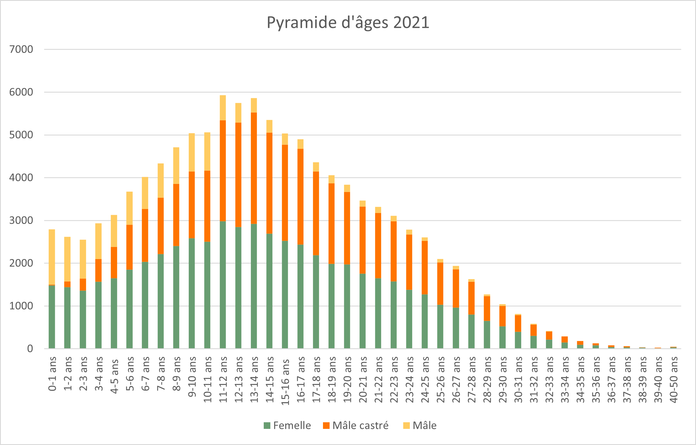 1_3_pyramide_2021