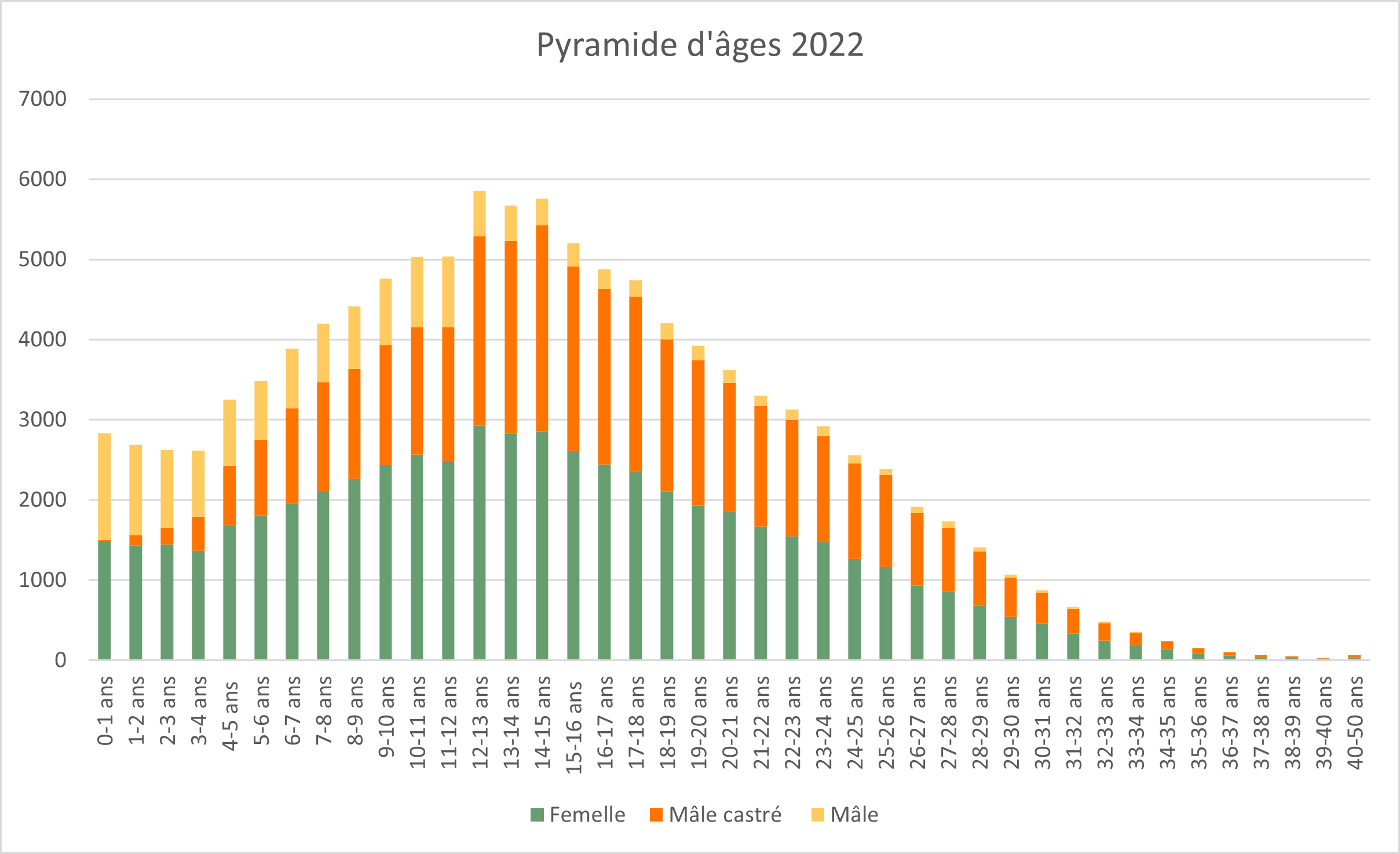 1_3_pyramide_2022