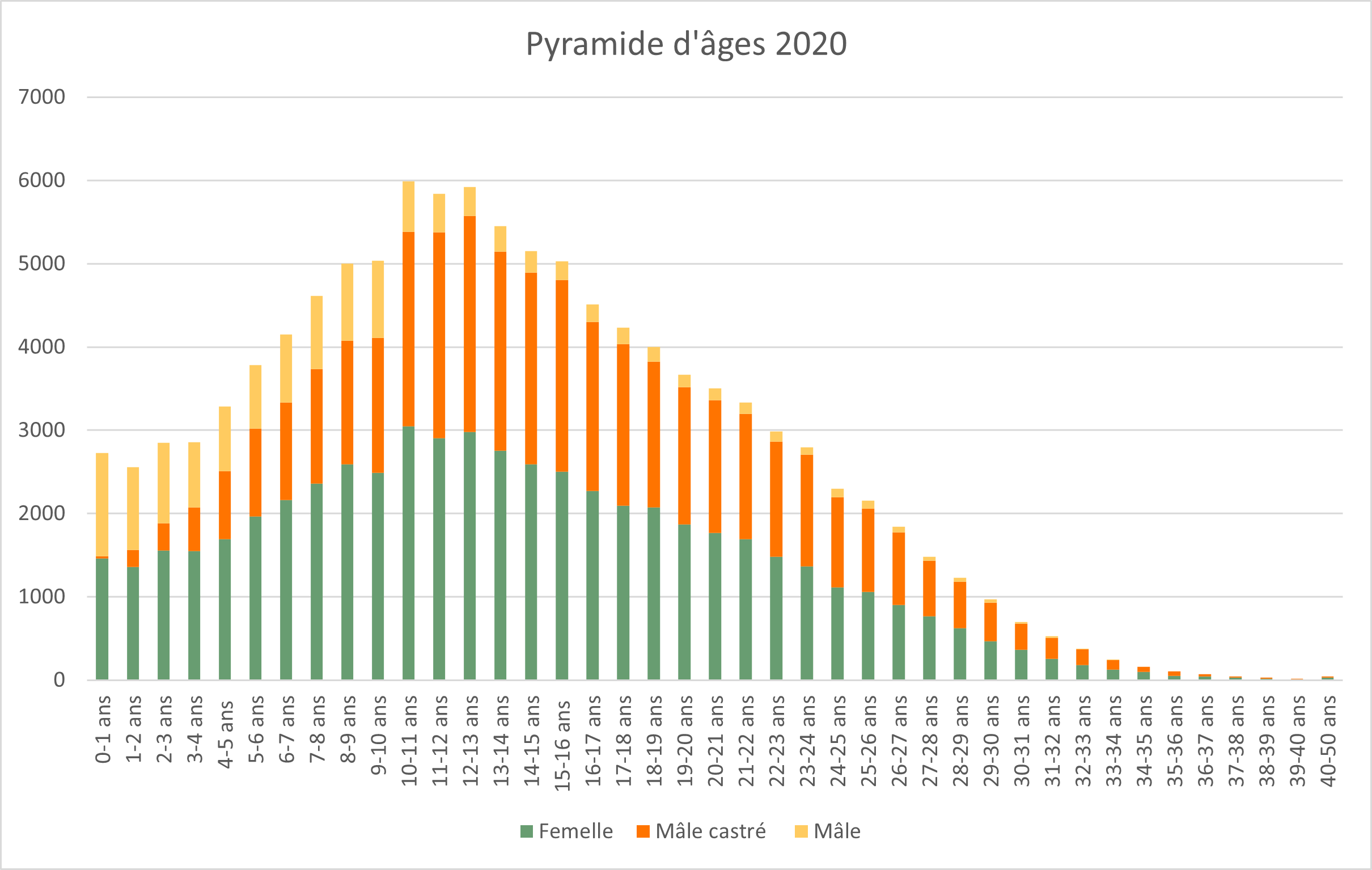 1_3_pyramide_2020