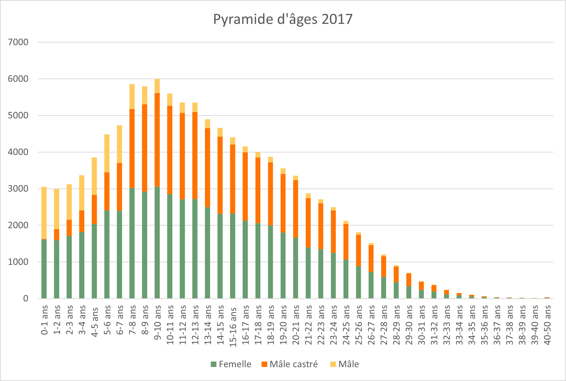 1_3_pyramide_2017
