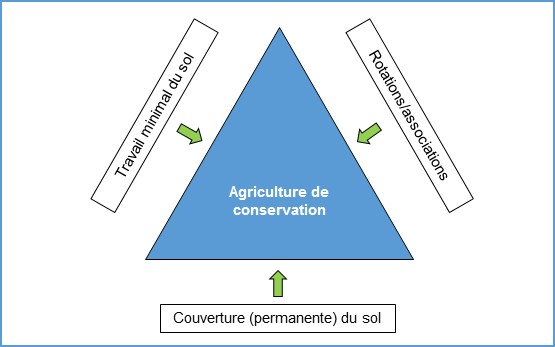 Agriculture_conservation_F