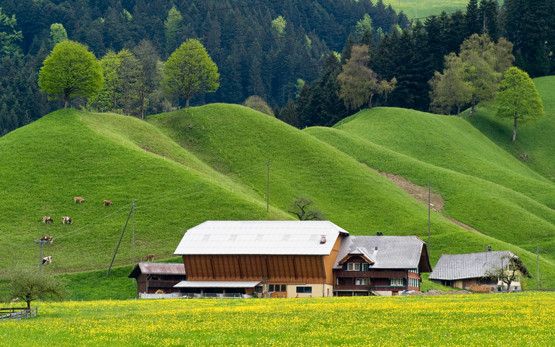 Bauernhof vor grünem Hügel