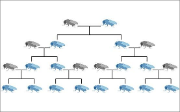 gene_drive