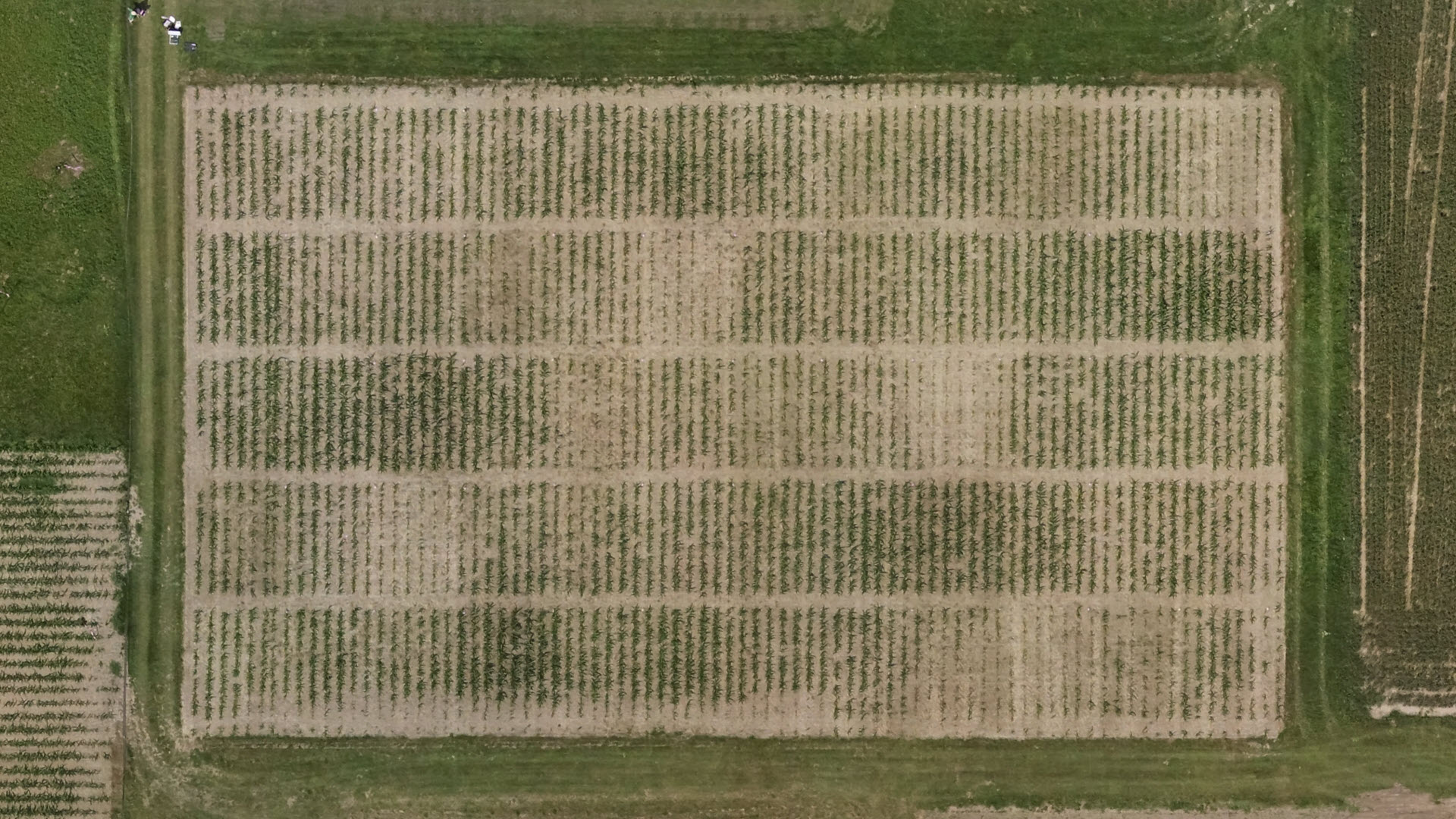 Luftbild Zurich Organic Fertilisation Experiment, ZOFE, Langzeitversuch, Langzeit Feldversuch, Versuch