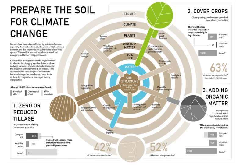 Infographic