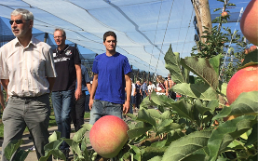 Apfel Tagung Obstbau