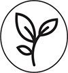 icone-plante-s