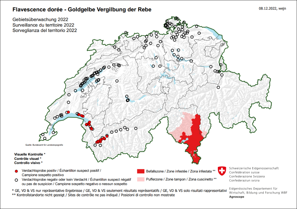 Verbreitungskarte Goldgelbe Vergilbung