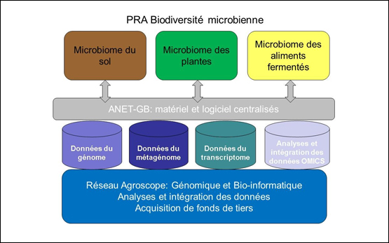 Mikrobielle Biodiversitaet ANET Grafik