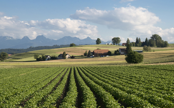 20160628_BE_Mittelland_GabrielaBraendle_5094_web