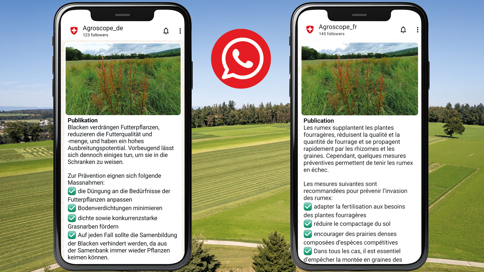 Wahtsapp Kanal