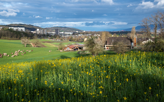 Stadt-Land-Graben