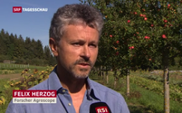 Agroforst: Felix Herzog