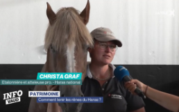 Comment tenir les rênes du Haras National