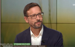 La betterave fait face à l’augmentation des ravageurs et à la disparition de certains produits phytosanitaires. Etienne Bucher