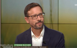 La betterave fait face à l’augmentation des ravageurs et à la disparition de certains produits phytosanitaires. Etienne Bucher 