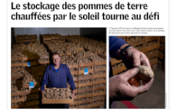 Terre et Nature stockage des pommes de terre